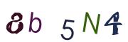 Графічна CAPTCHA